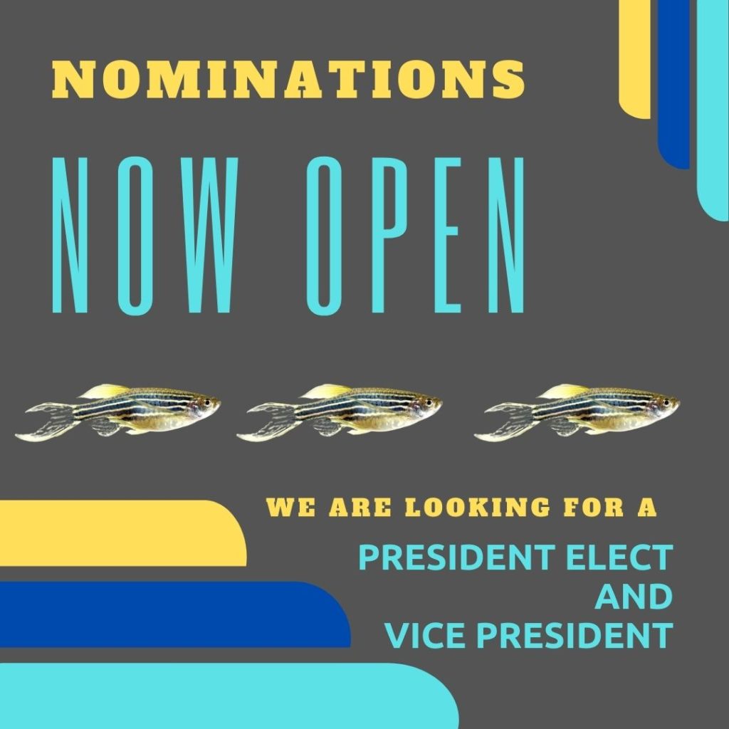 nominations-for-2022-zha-e-board-are-now-open-zebrafish-husbandry